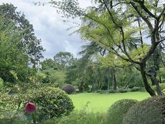 -浙江西子宾馆·牡丹厅