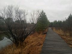 -北极村旅游风景区