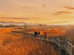 -野鸭湖国家湿地公园