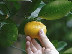 -杭州城北体育公园