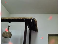 -牛背梁国家森林公园