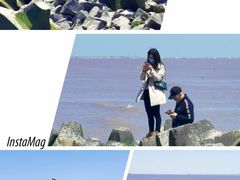 -南汇嘴观海公园