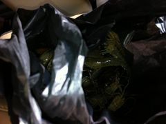 -小象钓虾·营地烧烤(洛溪店)