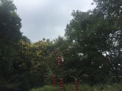 -杭州西湖风景名胜区-三生石