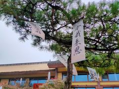 -诗经里