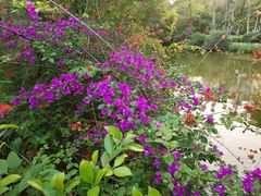 -人民公园(罗湖区)