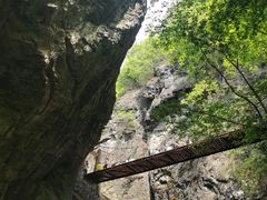 -牛背梁国家森林公园