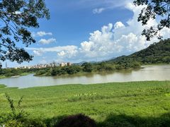 -风云岭森林公园