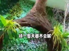 -东方之珠洗浴休闲广场(南开店)
