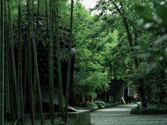 -杭州植物园