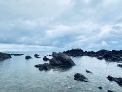 -养马岛旅游度假区