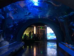 -成都浩海立方海洋公园