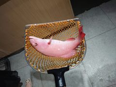 -盒马鲜生(岭南新世界店)