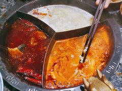 -蜀大侠火锅(森兰花园城店)