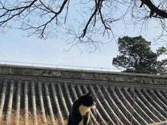 -大觉寺-停车场