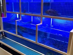 -紅楼酒家(朱家角店)