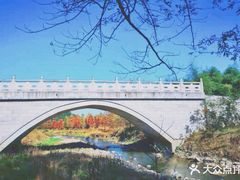 -四明山国家森林公园