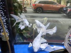 -溪岸路花鸟市场