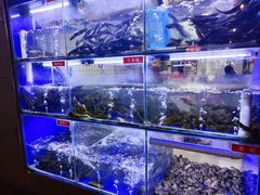 -石锅苗苗鱼(武汉首店)