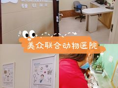 -美联众合动物医院·内科·皮肤科·外科(古城分院)