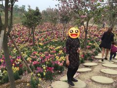 -绵阳盛世樱花悠乐谷