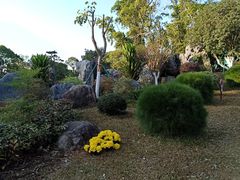 -东莞植物园