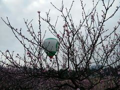 -秀丽东方