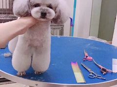 -沐沐家宠物(成寿寺店)