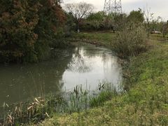 -韩湘水博园
