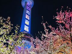 -东方明珠广播电视塔