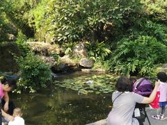 景点-晓港公园