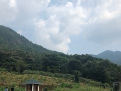-广州市石门国家森林公园