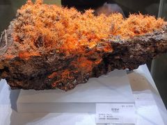 -湖南省地质博物馆