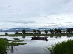 -洱海月湿地公园