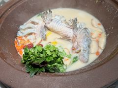-鲜念蒸汽石锅鱼(红山6979店)