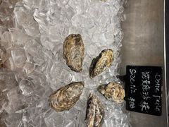 -Oyster Talks 四度蚝法餐厅