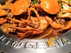 -胖哥俩肉蟹煲(福州仓山爱琴海店)
