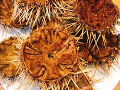 -海胆小馆(东北水饺·春柳店)