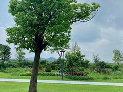 -光明小镇欢乐田园