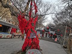 -青檀寺景区