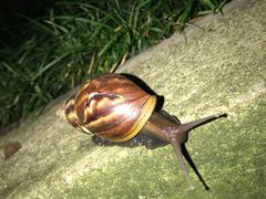 -广州市干部健康管理中心