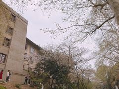 -武汉大学-樱园