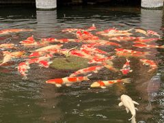 -香麒园·过桥米线·南湖雅宴