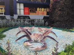 -长春农业博览园