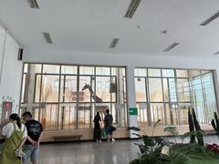 -大青山野生动物园