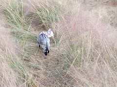 -钟山体育运动公园