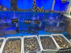 水产区-日照大牌檔•小船海鲜(万平口店)