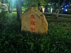 -小鲤鱼寻宝记·AR亲子户外剧本闯关(广州东山湖公园店)