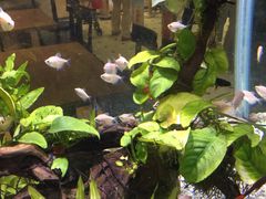 -大家乐(广州天河城六楼店)