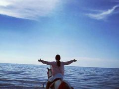 -青海湖国家重点风景名胜区